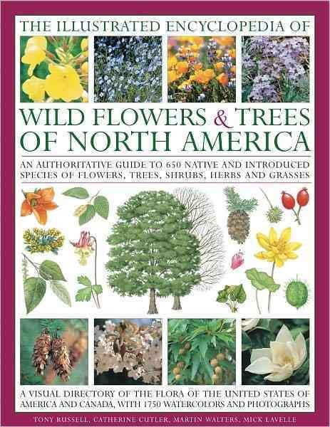 The Illustrated Encyclopedia of Wild Flowers & Trees of North America | 拾書所