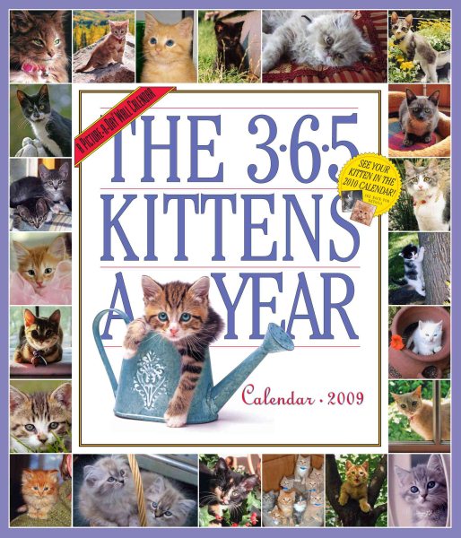 2009 365 Kittens-A-Year Wall Calendar | 拾書所
