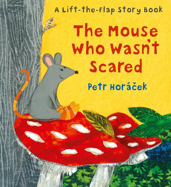 The Mouse Who Wasn\