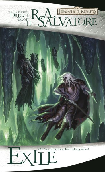 Forgotten Realms, the Legend of Drizzt 2