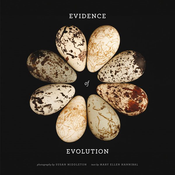 Evidence of Evolution | 拾書所