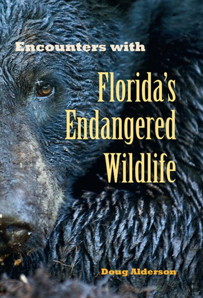 Encounters With Florida's Endangered Wildlife | 拾書所