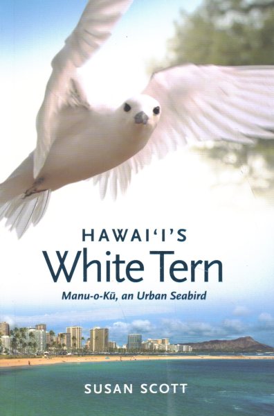 Hawai’s White Tern