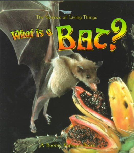 What Is a Bat?
