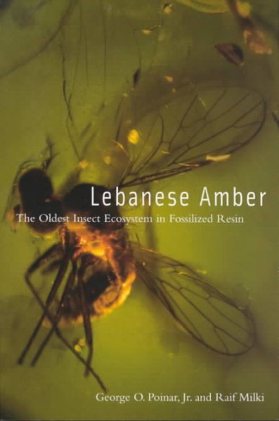 Lebanese Amber | 拾書所