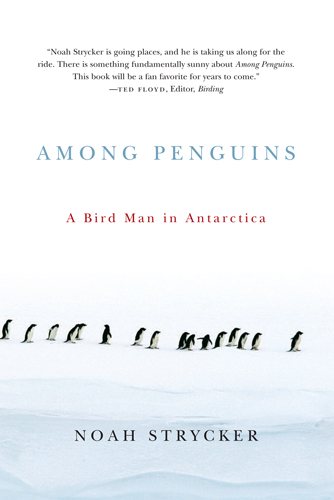 Among Penguins | 拾書所
