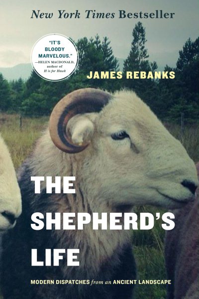 The Shepherd\