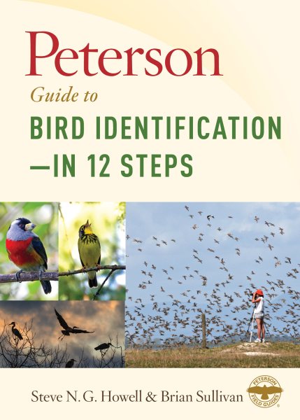 Peterson Guide to Bird Identification in 12 Steps | 拾書所