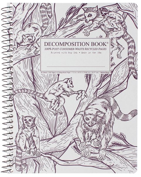 Leaping Lemurs Decompositon Book - Blank