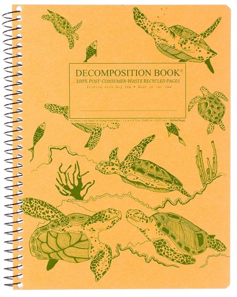 Sea Turtles Decomposition Book