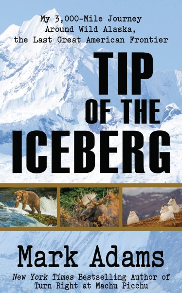 Tip of the Iceberg | 拾書所