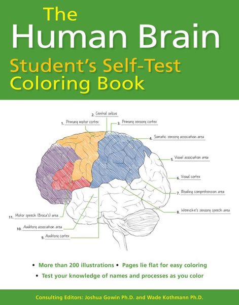 The Human Brain Student\