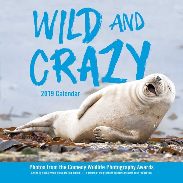 Wild and Crazy 2019 Calendar