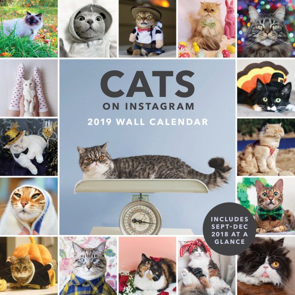 Cats on Instagram 2019 Calenda(Wall)