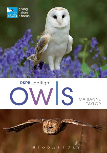 Rspb Spotlight Owls | 拾書所