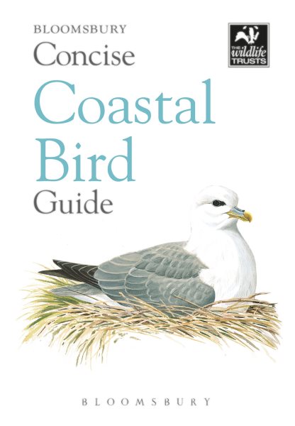 Concise Coastal Bird Guide | 拾書所