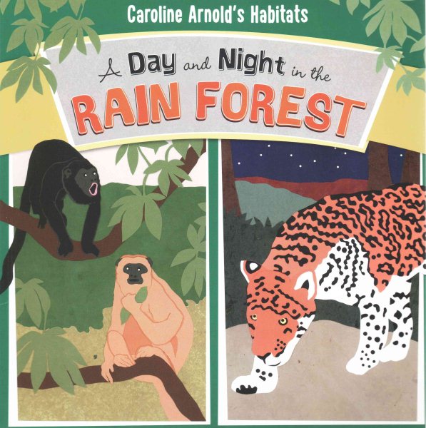 A Day and Night in the Rain Forest