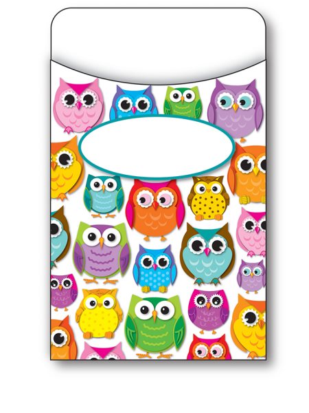 Colorful Owls Library Pockets
