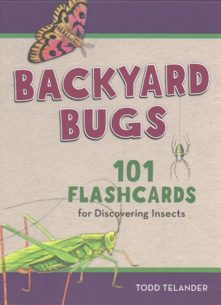 Kids' Bug Spotting Flashcards | 拾書所