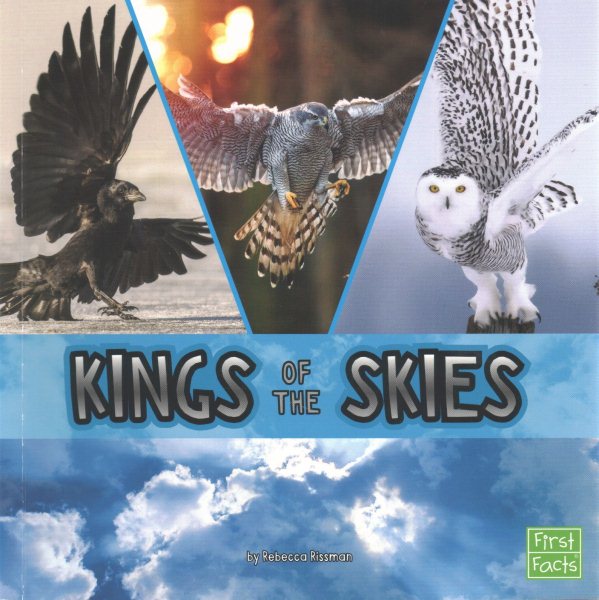 Kings of the Skies