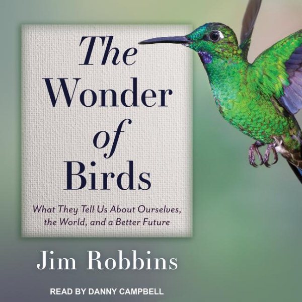 The Wonder of Birds | 拾書所