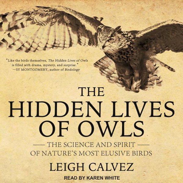 The Hidden Lives of Owls | 拾書所