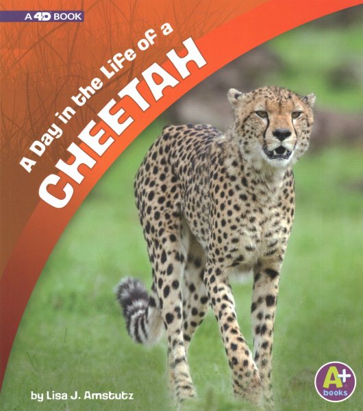 A Day in the Life of a Cheetah