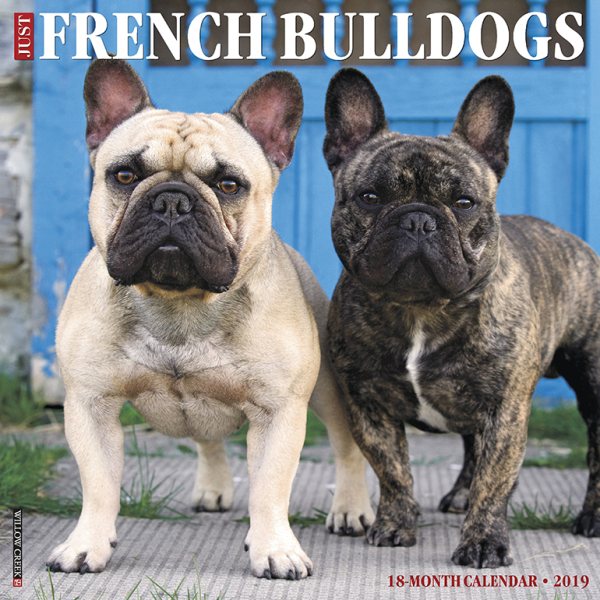 Just French Bulldogs 2019 Cale(Wall)