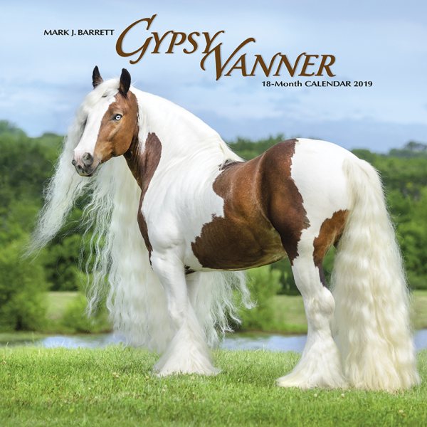 Gypsy Vanner Horse 2019 Calend(Wall)