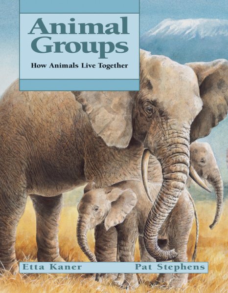 Animal Groups | 拾書所