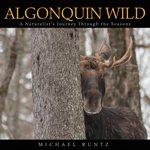 Algonquin Wild | 拾書所