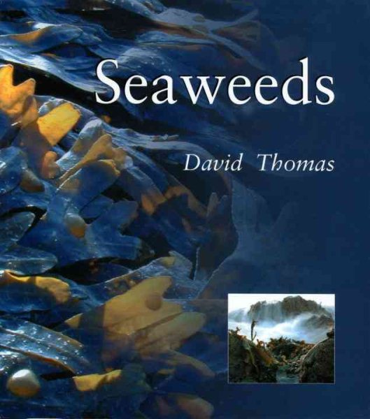 Seaweeds | 拾書所