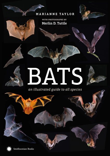 Bats | 拾書所