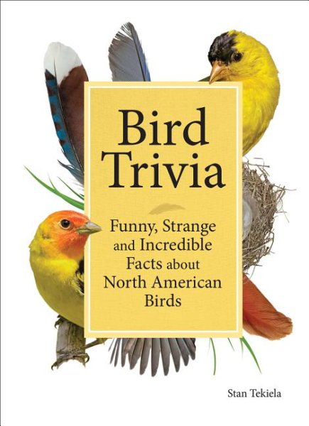 Bird Trivia | 拾書所