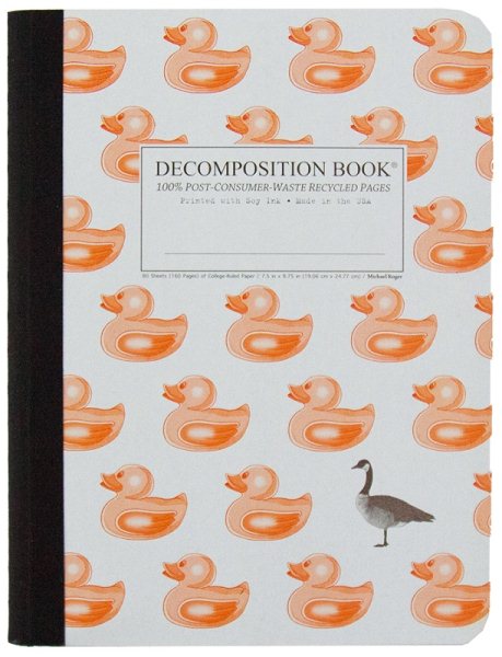 Duck Duck Goose Decomposition Book, 2-color