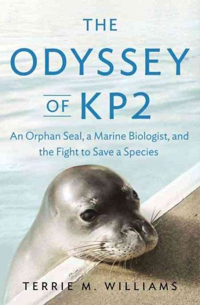 The Odyssey of Kp2 | 拾書所