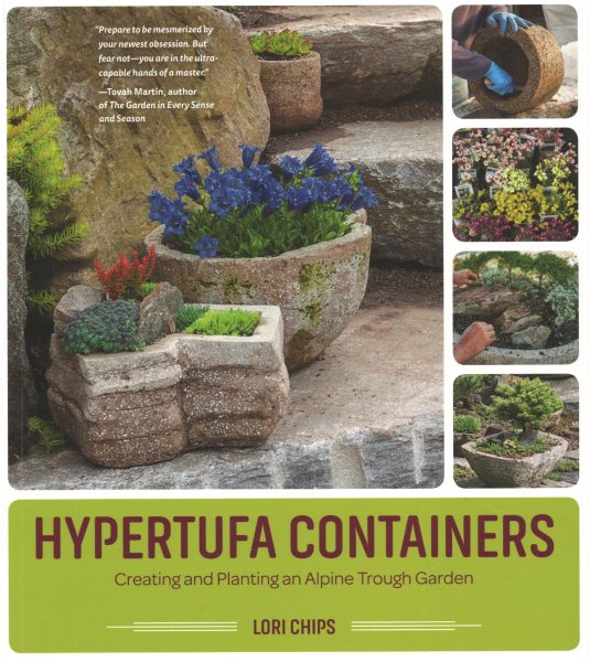 Hypertufa Containers