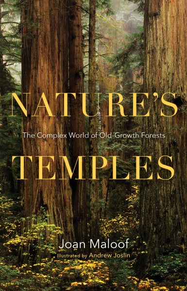 Nature's Temples | 拾書所