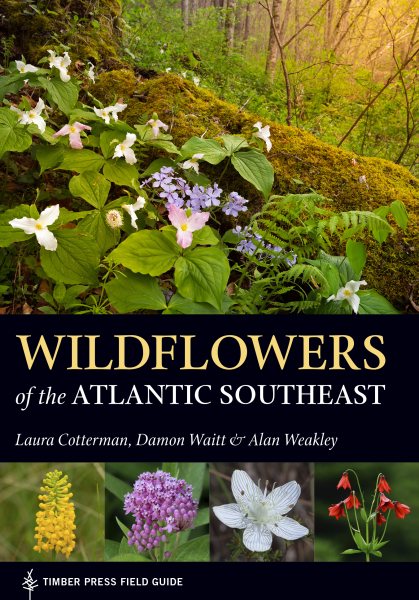 Wildflowers of the Atlantic Southeast | 拾書所