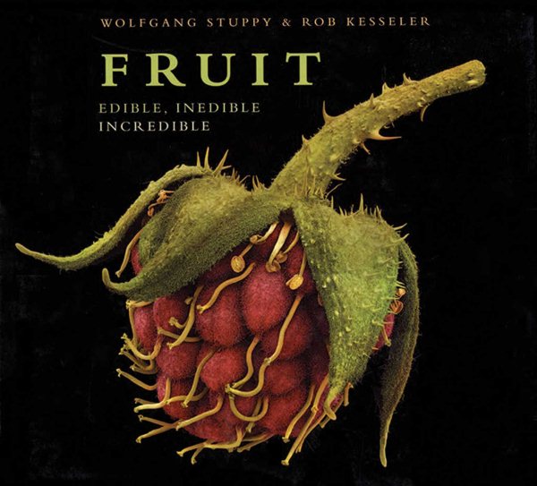 Fruit | 拾書所
