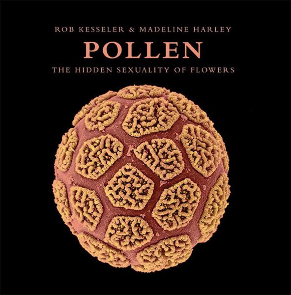 Pollen | 拾書所