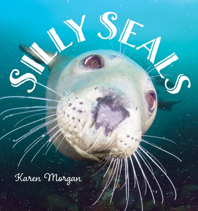 Silly Seals | 拾書所