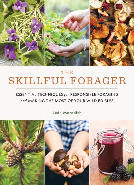 The Skillful Forager | 拾書所