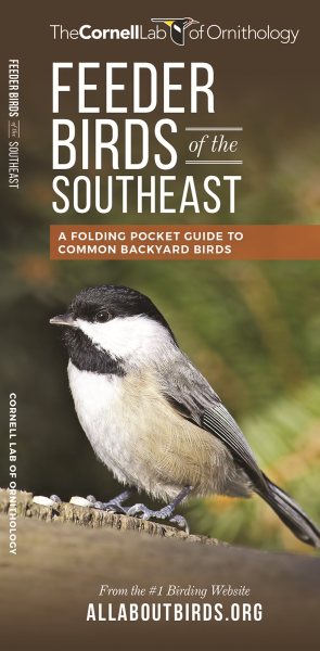Feeder Birds of the Southeast Us | 拾書所