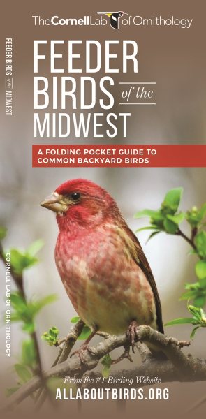 Feeder Birds of the Midwest Us | 拾書所