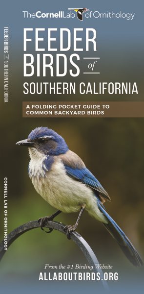 Feeder Birds of Southern California | 拾書所