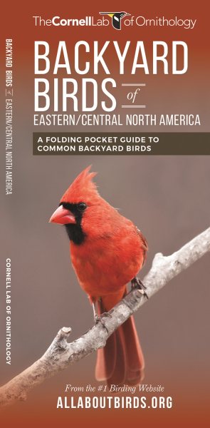 Backyard Birds East / Central Us | 拾書所