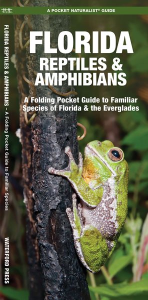 Florida Reptiles & Amphibians | 拾書所