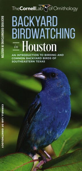 Backyard Birdwatching in Houston | 拾書所