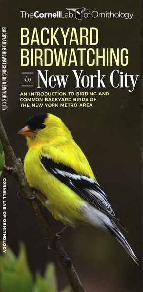 Backyard Birdwatching in New York City | 拾書所